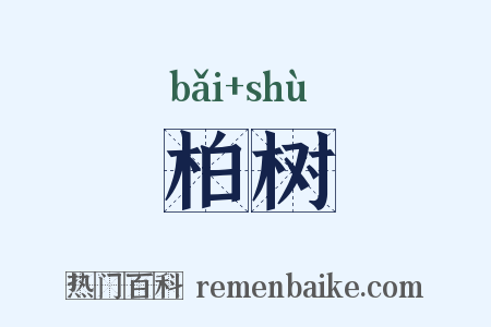 柏树是什么意思的图片